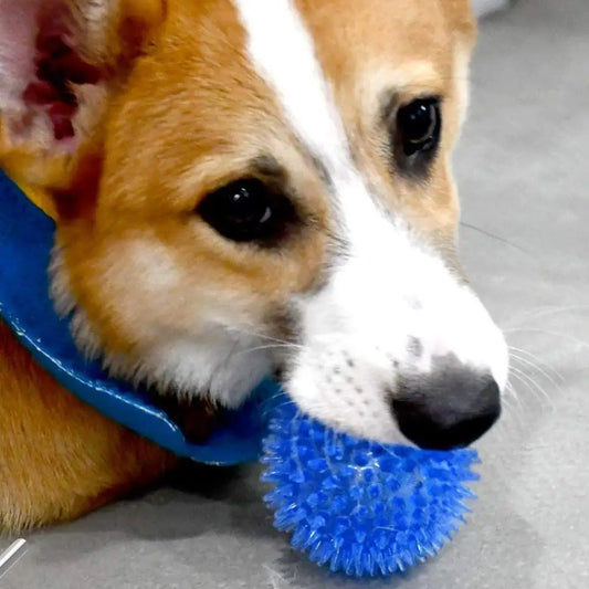 Dog Toy Balls Puppy Chew Toys For Teething Spiky Dog Balls For Small Dogs Toys Fetch Toy For Teeth Cleaning And Training 4 Color